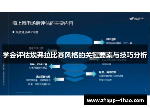 学会评估埃弗拉比赛风格的关键要素与技巧分析