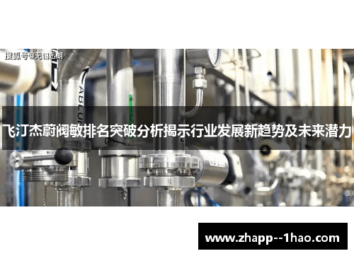 飞汀杰蔚阀敏排名突破分析揭示行业发展新趋势及未来潜力 飞汀杰蔚阀敏排名突破分析揭示行业发展新趋势及未来潜力