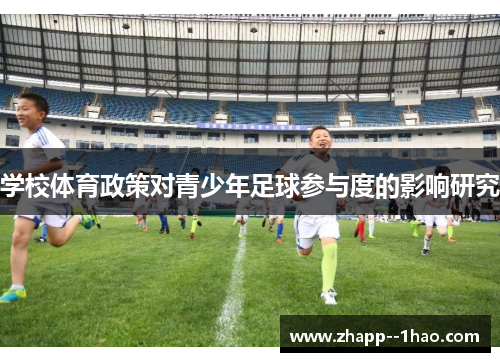 学校体育政策对青少年足球参与度的影响研究