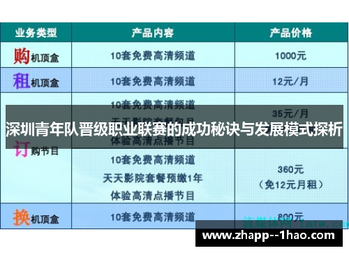 深圳青年队晋级职业联赛的成功秘诀与发展模式探析 深圳青年队晋级职业联赛的成功秘诀与发展模式探析
