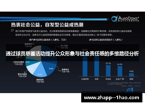 通过球员慈善活动提升公众形象与社会责任感的多维路径分析